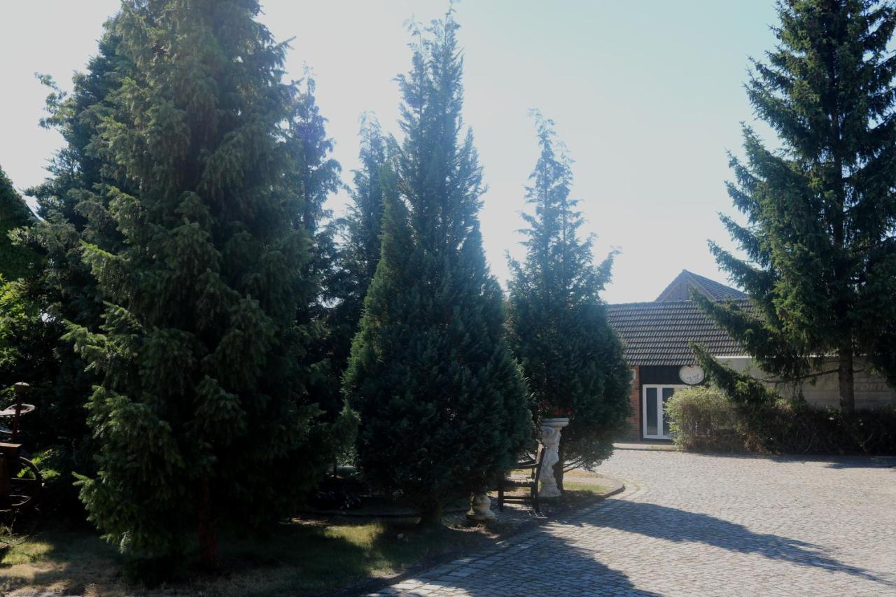 Spreewaldhotel Garni Raddusch Vetschau/Spreewald Extérieur photo